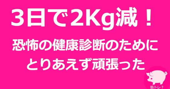 3日で2Kg減!健康診断のためにとりあえず頑張った