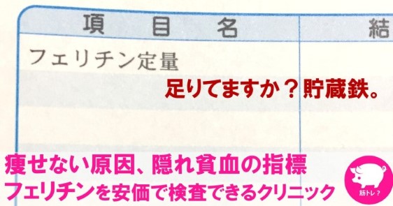 痩せない原因、隠れ貧血指標のフェリチンを1コインで検査できた!(東京)